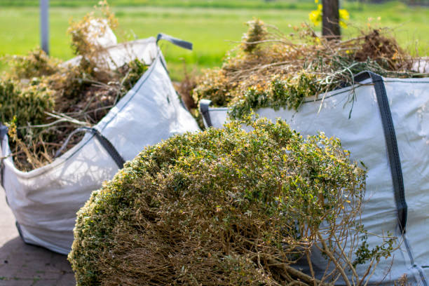 Recycling Services for Junk in Lakeland, GA